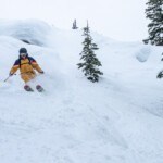 Kootenay Pillows at White Grizzly