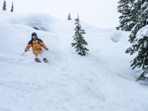 Kootenay Pillows at White Grizzly