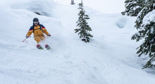 Kootenay Pillows at White Grizzly