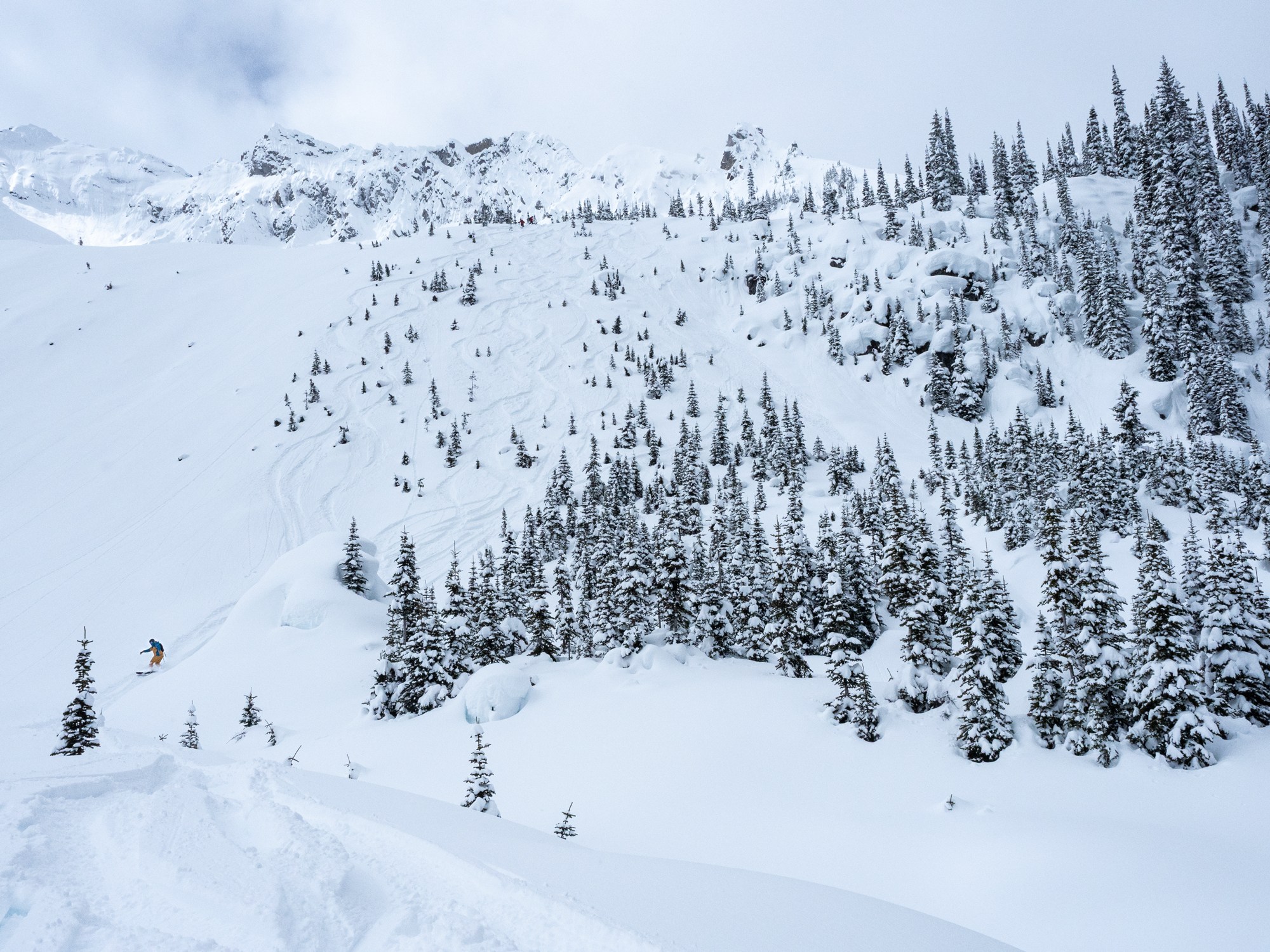 White Grizzly cat skiing on the Powder Highway