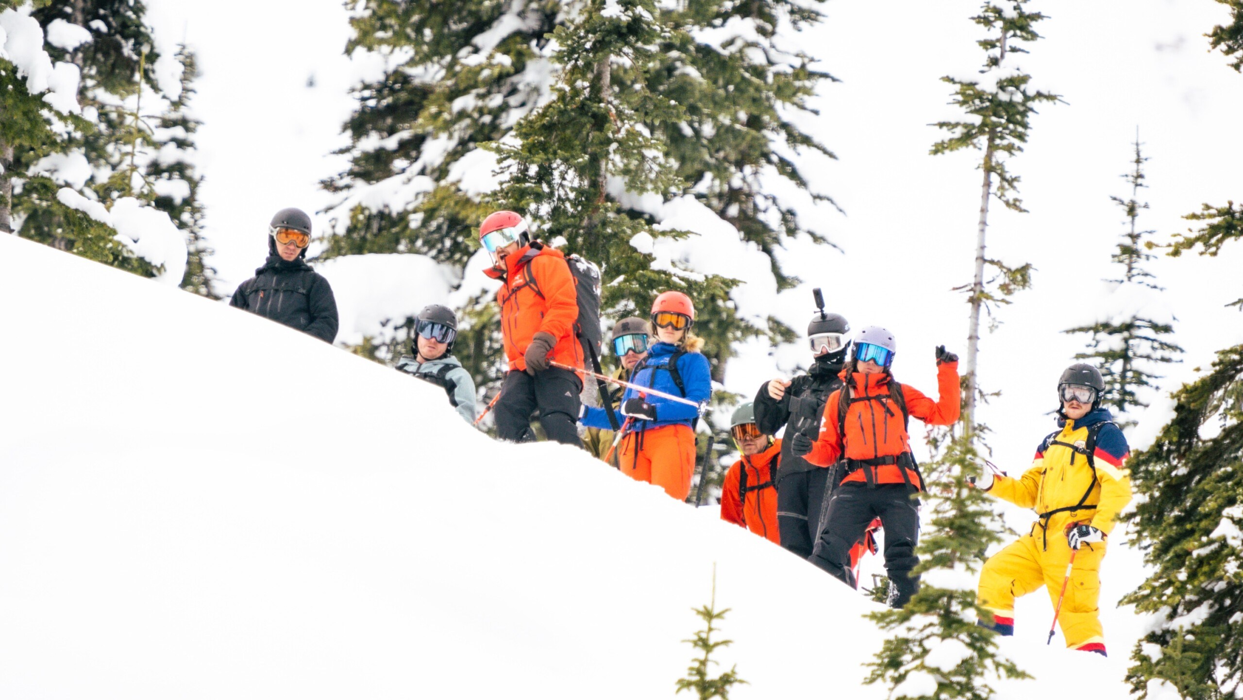 White Grizzly cat skiing group