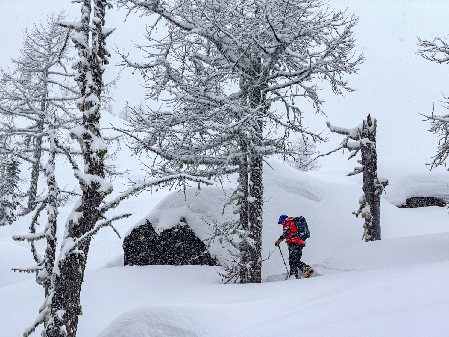 Skinning up a mountain side in the Whitewater Backcountry