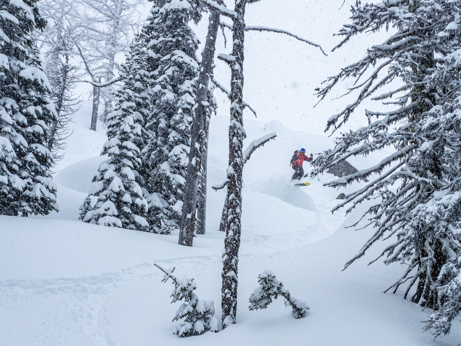 skier leaping off kootenay pillow in the Whitewater backcountry