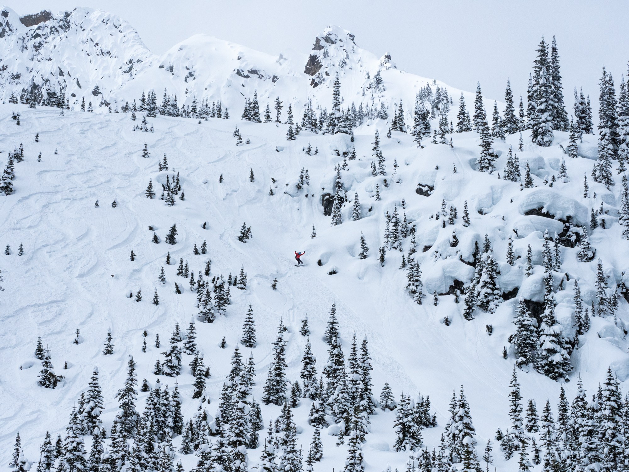 cat skiing at White Grizzly near Nelson BC