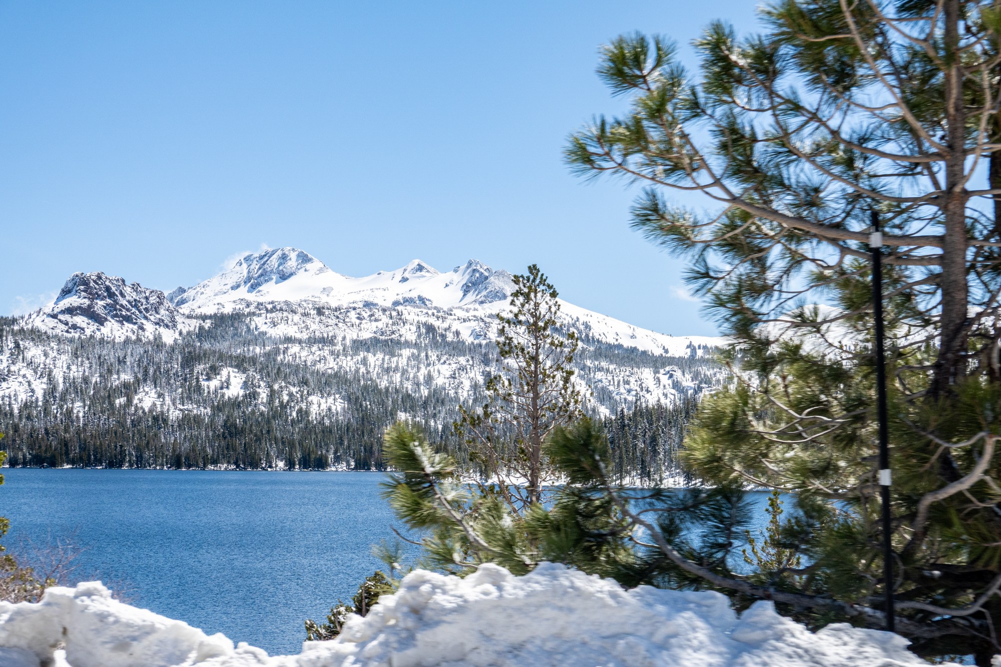 Caples lake in late spring after a fresh snowfall