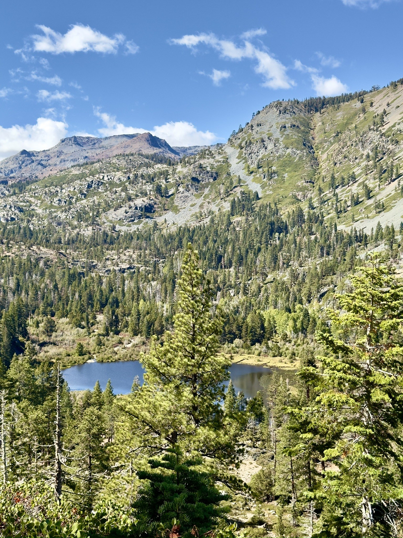 Lily Lake Tahoe