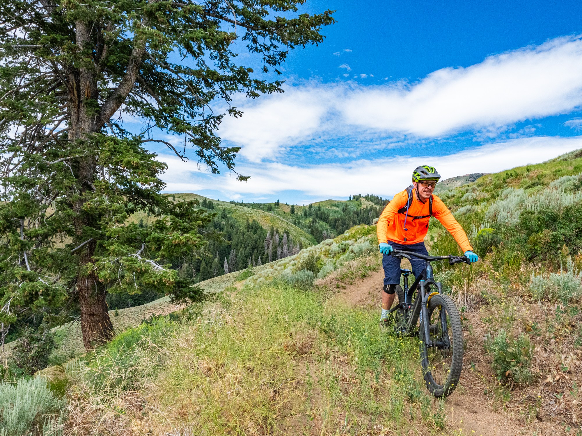 Soldier Mountain mountain biking trails - Greenie