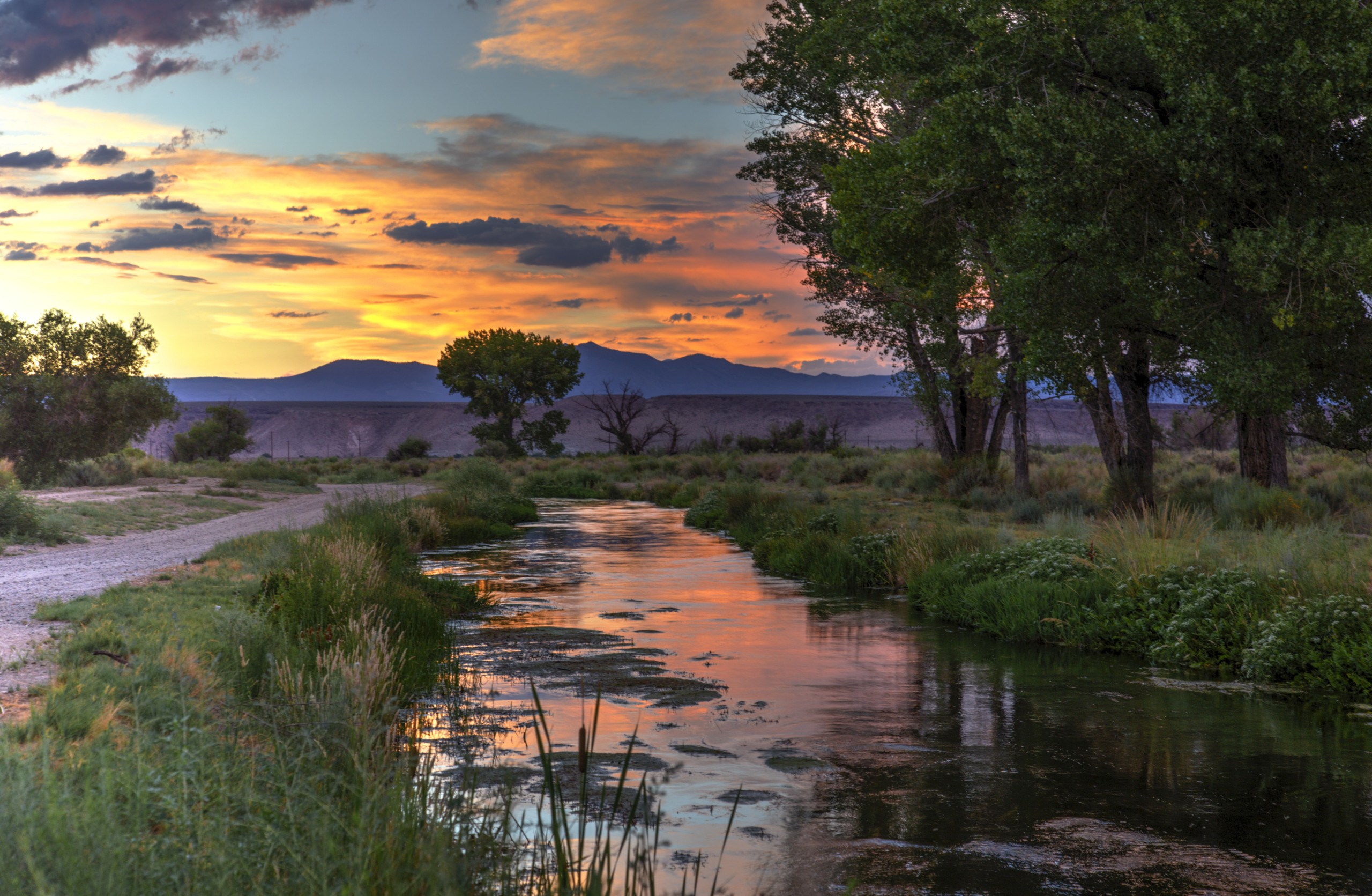 A canal in the late spring in the Eastern Sierra at sunset