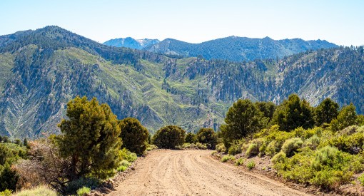 Burchman Flat Road in the Eastern Sierra near Walker CA