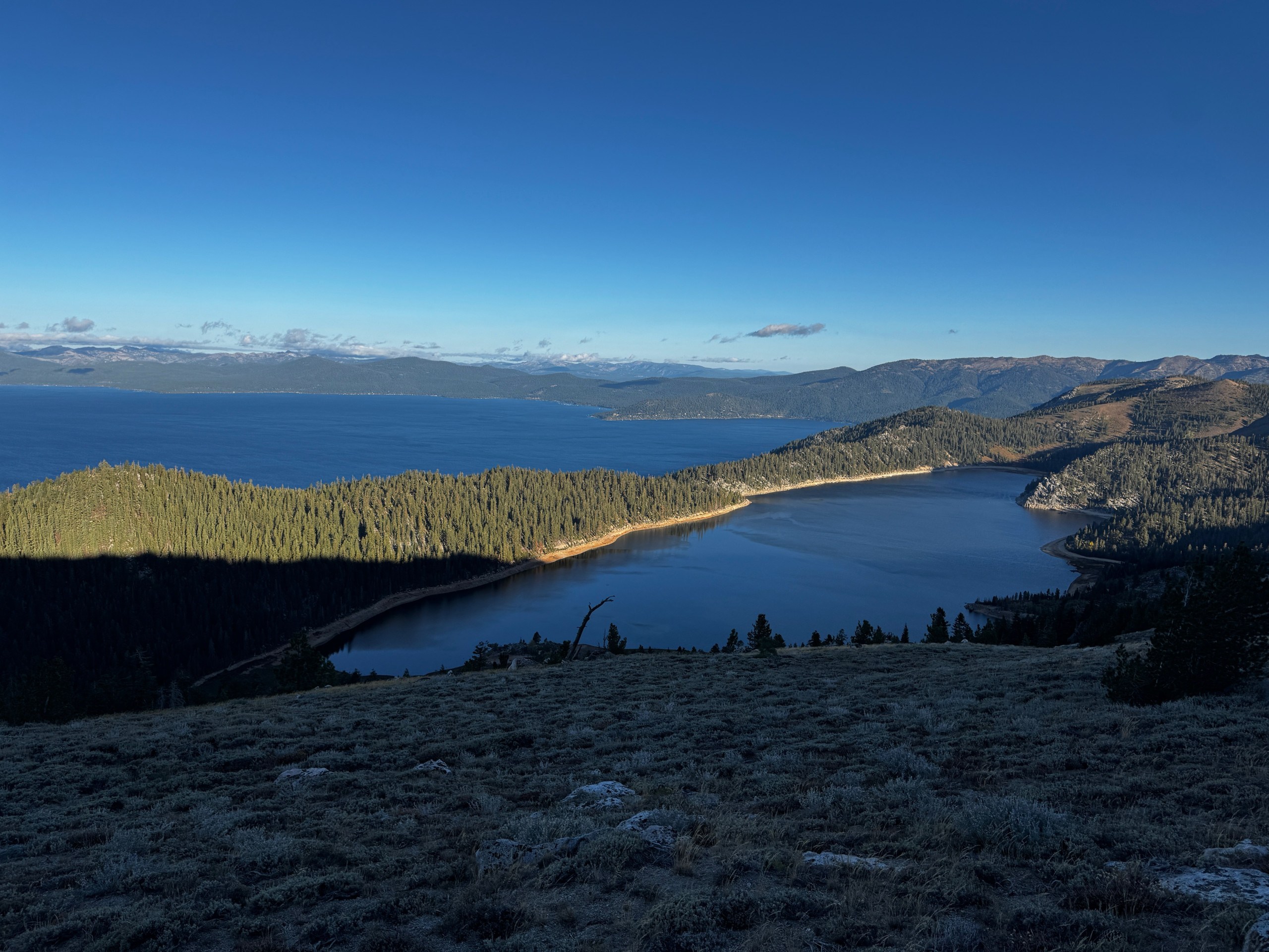 Dawn patrol on Rose to Toads