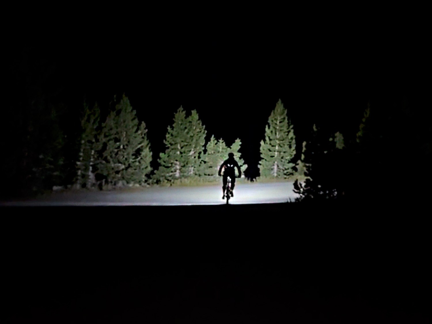 Mountain biker begins Rose to Toads in the darkness